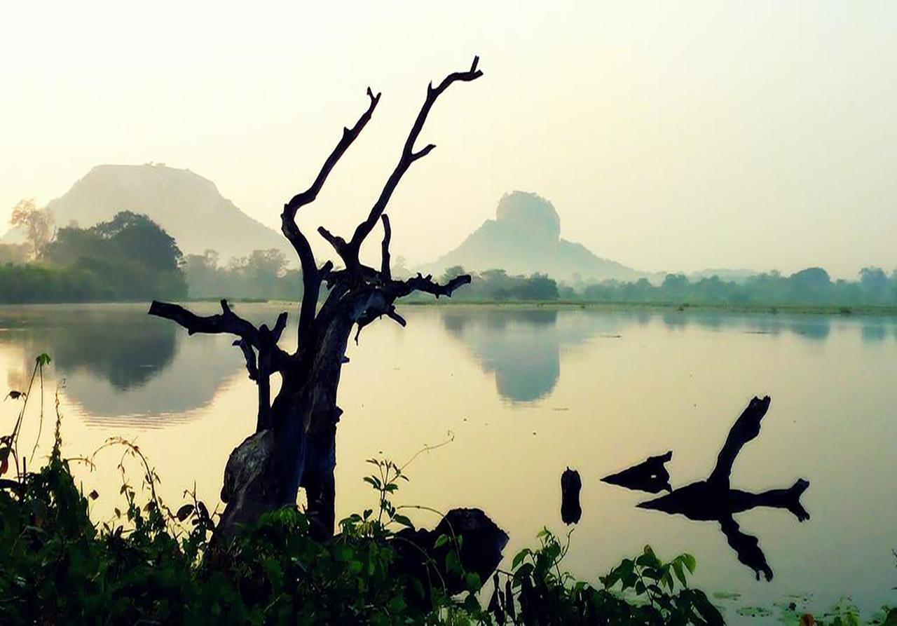 Sigiriya Rock Gate Resort Экстерьер фото